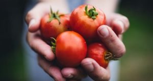 5 أطعمة غنية بمضادات الأكسدة مفيدة فى الصيف.. منها البروكلى والطماطم