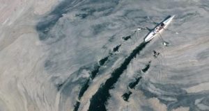 «مخاط البحر» يهدد الحياة البحرية في تركيا
