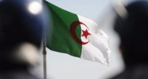 وزير التجارة الجزائري: قانون المالية الجديد خصص نحو ٢٠ مليار دولار للدعم الاجتماعي