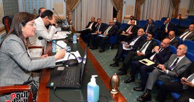 "مالية الشيوخ" تحسن ملموس فى مؤشرات التنمية البشرية فى مصر صحيا وتعليما