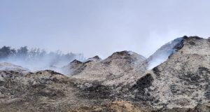 نيران مشتعلة من 4 أيام.. حريق مزرعة الإسماعيلية لسه شغال "فيديو وصور"