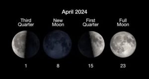 تعرف على مرحلة القمر اليوم.. عنده كم يوم ونسبة إضاءته؟